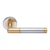 EuroArt Designer Stainless Steel Lever 135mm Polished Brass Polished SS British Hardware