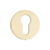 Brass Escutcheon Round Rose